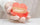 Can I Clean My Dentures With Bleach?