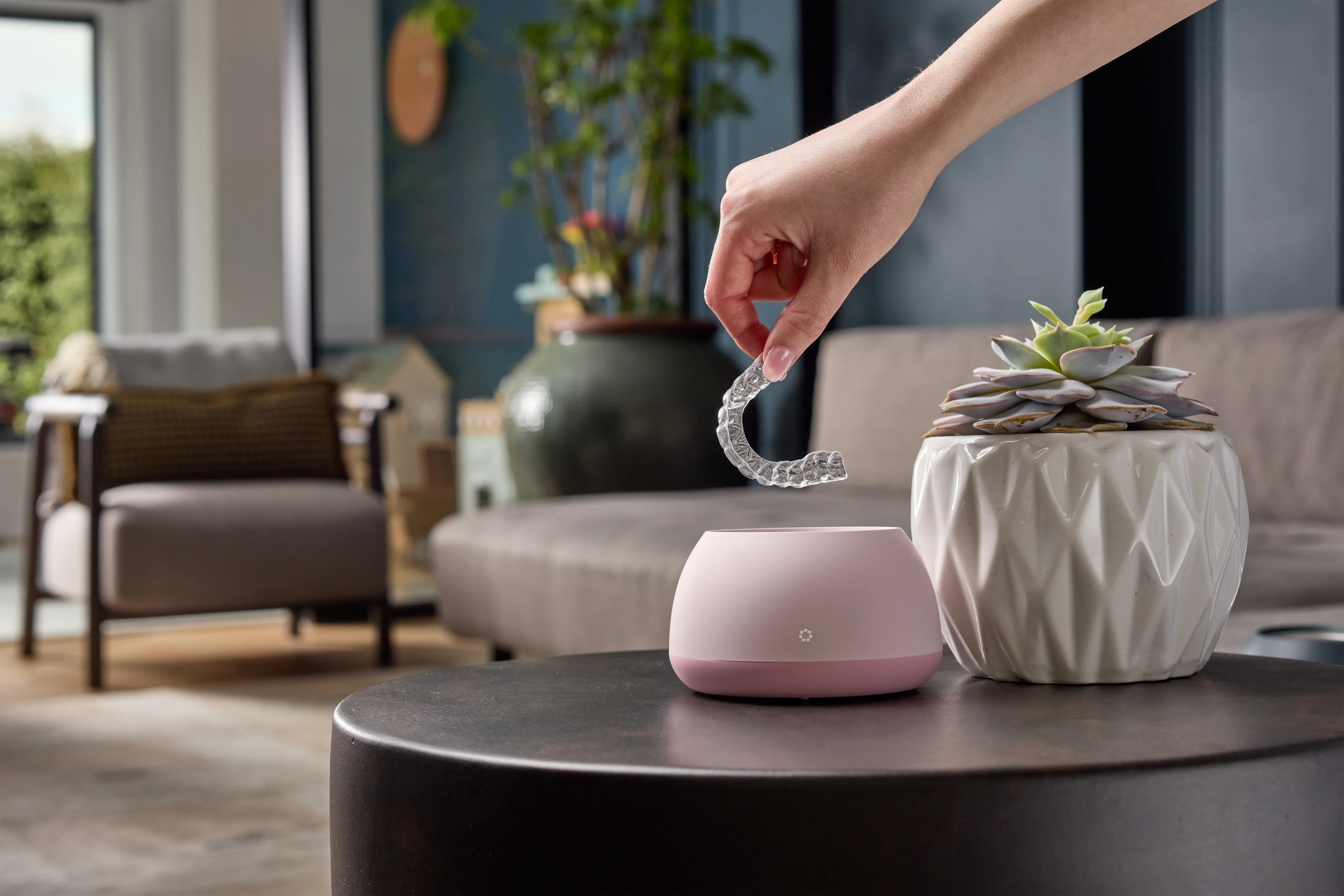 What can the Dental Pod clean? (2026)