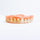 Ultrasonic cleaner dentures